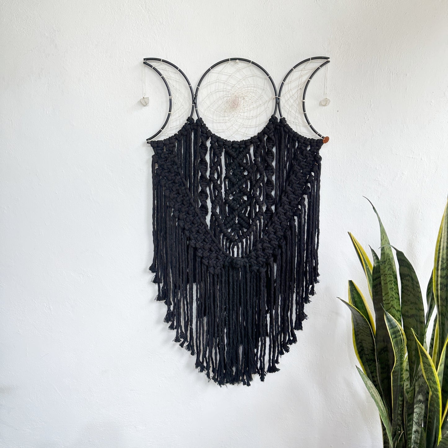 MOONCAT BLACK